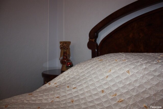 Гостиница Персона Кемерово-19